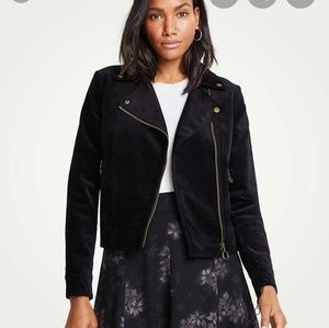 Velvet moto jacket
